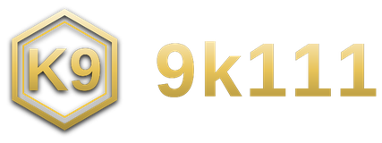 9k111 logo